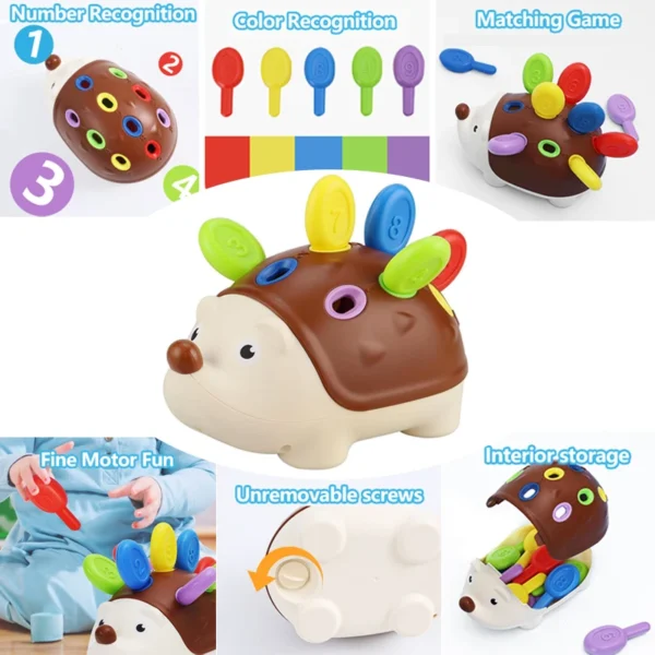Hedgehog Montessori Educational Toy Fine Motor Toys for Toddlers Learning Counting & Training Develop Concentration Sensory Gift - Image 2