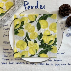 20Pcs/Pack Lemon Table Decoupage Paper Napkins Summer Fruits Napkin Paper Tissue for Xmas Wedding Party Decor Supplies 5
