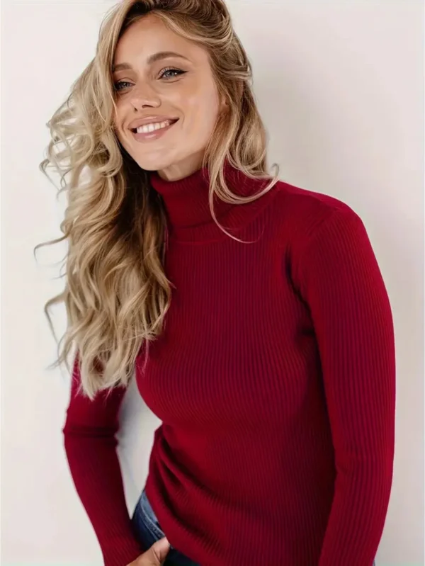 New Elegant Style Simplicity High Collar Solid Color Regular Sleeve Sweater Pullover - Image 5
