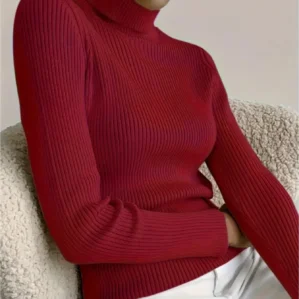 New Elegant Style Simplicity High Collar Solid Color Regular Sleeve Sweater Pullover