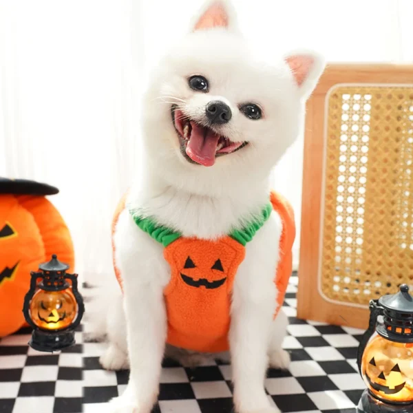 Halloween Dog Costumes Funny Pumpkin Lantern Transformation Outfit Dog Cat Two Legged Pet Cute Pumpkin Cloth Dog Jacket - Image 4
