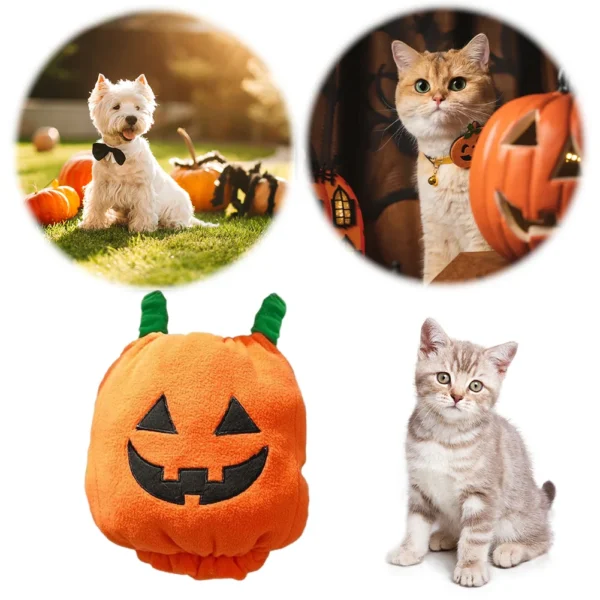 Halloween Dog Costumes Funny Pumpkin Lantern Transformation Outfit Dog Cat Two Legged Pet Cute Pumpkin Cloth Dog Jacket - Image 5