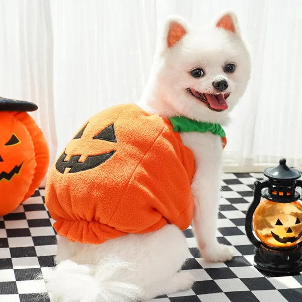 Halloween Dog Costumes Dog Cat Two Legged Pet Cute Pumpkin Cloth Pet Dog Clothes Dog Two Legged Pet Cute Pumpkin Clothes - Image 4